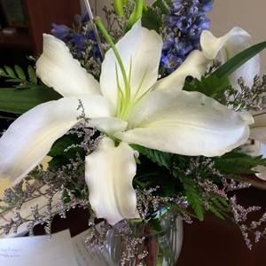 Meet your Posher, Michele